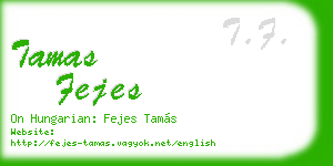 tamas fejes business card